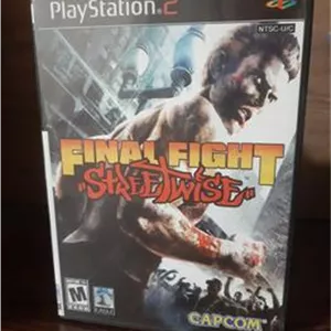 بازی اورجینال FINAL FIGHAT برای PS2