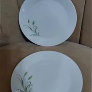 پیش دستی چینی