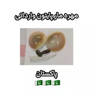 مهره مار پایتون وارداتی پاکستان