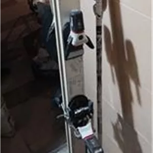 چوب اسکی الپاین