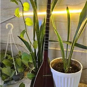 تنبور یک تکه دست ساز