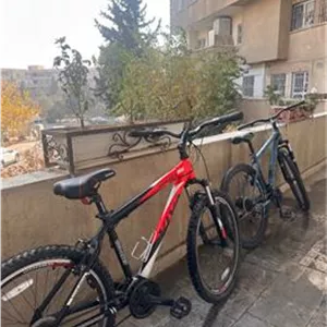 2عدد دوچرخه مدل وی وا مارلین