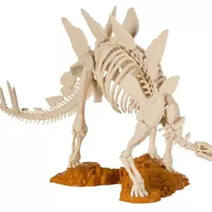 فیگور Nova Art Stegosaurus Skeleton