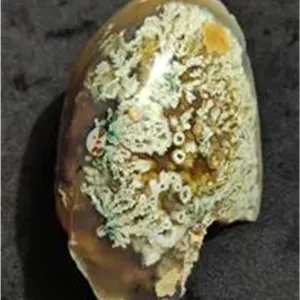 سنگ عقیق شجر بهاری