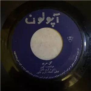 صفحه گرام 45 دور از بانو گیتی