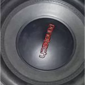 ساب لوله ای 300rms (panatech)