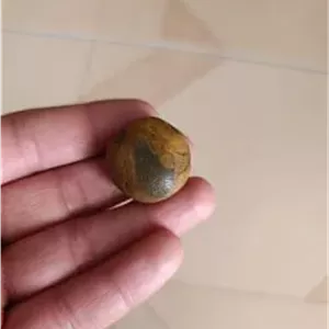 مهره سلطانی زرد