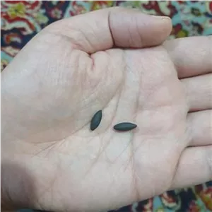مهره مار اصل دانه برنجی سیاه