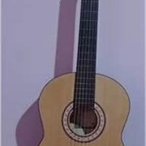 گیتار برند پارسی