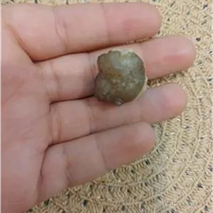 مهره مار درجه1 هندی کمیاب