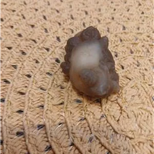 مهره مار درجه1 کمیاب هندی