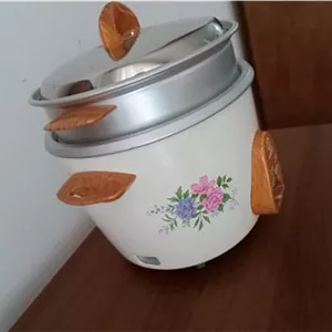 پلو پز و آرام پز برقی