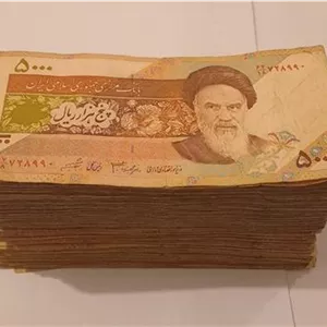 400 برگ اسکناس گل و بلبل دانش  شیبانی