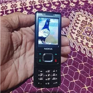 گوشی نوکیا 6500درحدنو واقعی