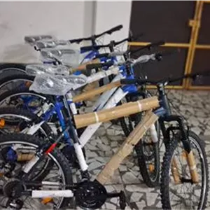 دوچرخه اینتنز مدل چمپیون