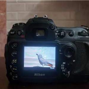 دوربین نیکون d200