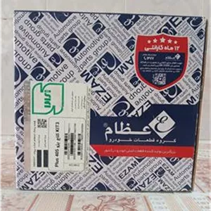 دیسک و صفحه عظام پلاس پژو