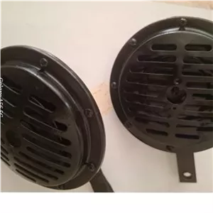 بوق بوش اصل