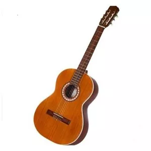 گیتار کلاسیک پارسی m6