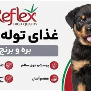 غذای خشک توله سگ رفلکس با طعم بره و برنج ترکیه