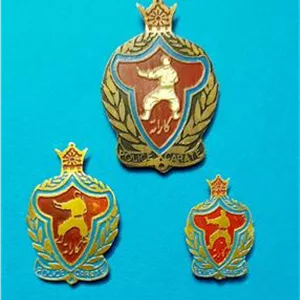 ست سنجاق سینه پلیس کاراته شهربانی دوره پهلوی