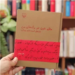 مثل خون در رگ های من ، نامه های شاملو به آیدا