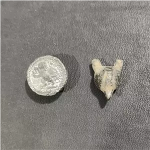 دکمه سربی قدیمی اصلی