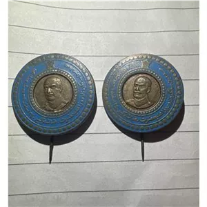 بج سوزنی کلکسیونی ( یک عدد )