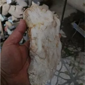 سنگ کوارتز شیری