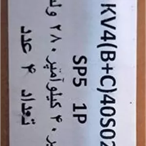 سرج ارستر(برقگیر)تک فاز 40 کیلو آمپر