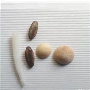 مهره اصیل و زیبا کمیاب معروف به مهره مار