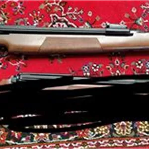 تفنگ بادی دیانا 54(قبل خرید اطلاع بدید)