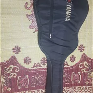 گیتار کلاسیک آریا