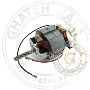 موتور چرخ گوشت مولینکس و تفال | ss-192323