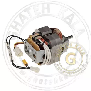 موتور چرخ گوشت مولینکس و تفال | SS-1530001732