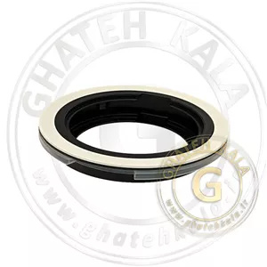 قاب فیلتر قوری چایساز میگل gts280 مشکی و سفید