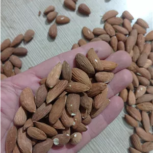 مغز بادام  اذرشهر