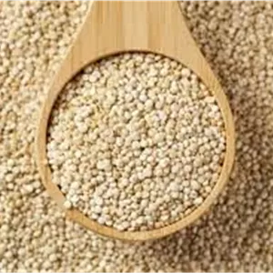 دانه کینوا اعلا 300گرمی
