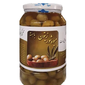 میوه شور زیتون (1 کیلویی)احیا سلامت