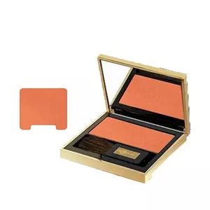 رژگونه شاین 31 ایفسن