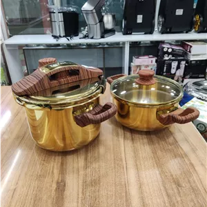 زودپز دوقلو تفال طلایی6و4لیتر (اصلی)ساخت فرانسه