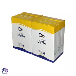 فیلتر هوا پراید پالاوان 6 عددی