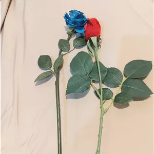 پارچه غواصی کرم