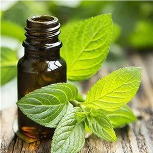 اسانس نعناع - 1 کیلوگرم