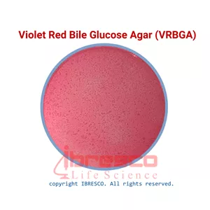 محیط کشت ویولت رد بایل گلوکز آگار (VRBGA) - برند ایبرسکو | 500 گرم