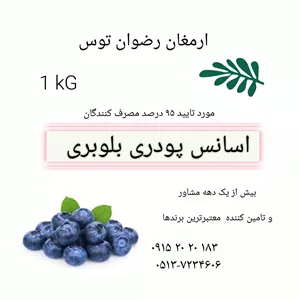 اسانس بلوبری پودری خوراکی