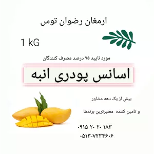 اسانس پودری انبه