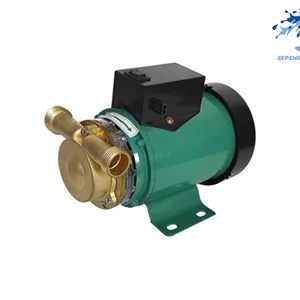 پمپ آبگرمکن260 وات بی ام وی BMV مدل 15WZ-18