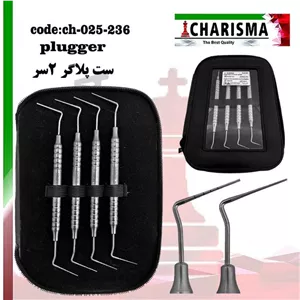 ست هیت کریر پلاگر کاریزما