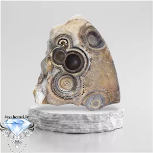 سنگ سلطانی باباقوری فسیلی خاص و کمنظیر S91